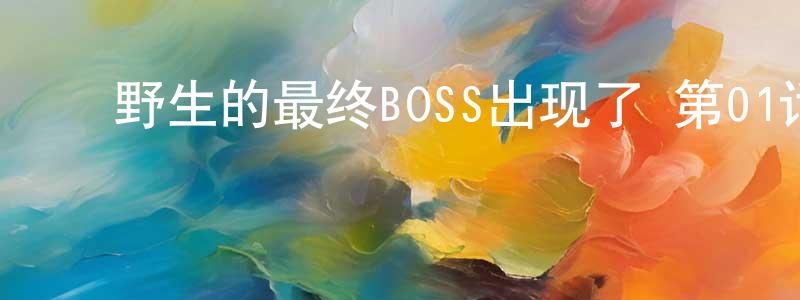陈积权的动漫综艺大全,野生的最终BOSS出现了 第01话迅雷下载_电影天堂